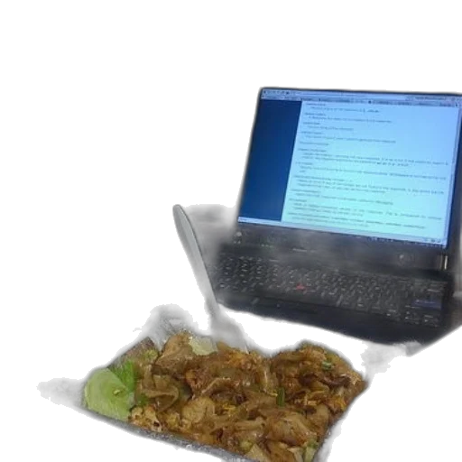 food, dog, sits, next transparent PNG cut-out