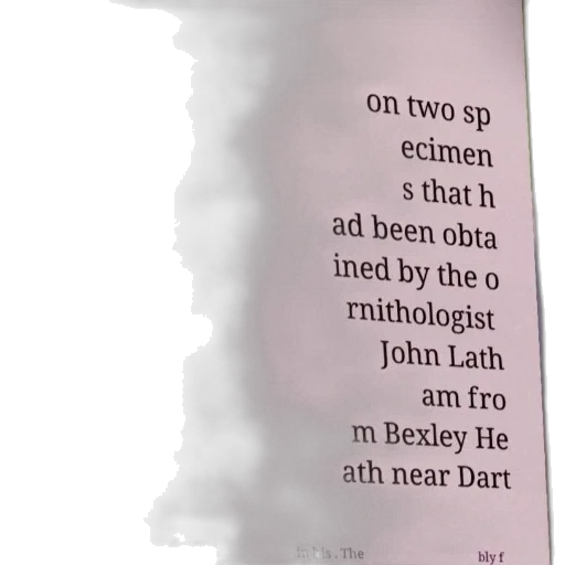 umbrella, bottle, text-heavy, image transparent PNG cut-out