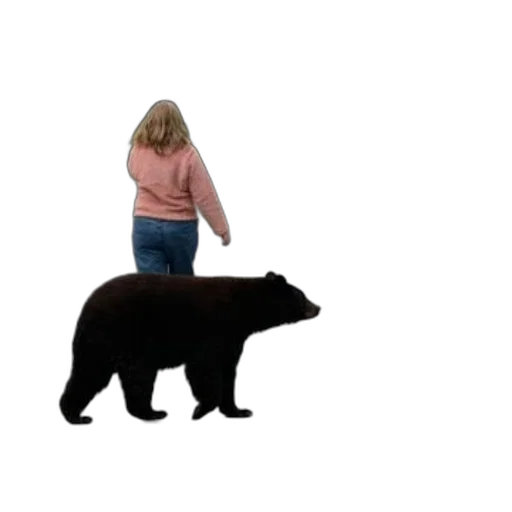 animal, creature, dress, hair transparent PNG cut-out
