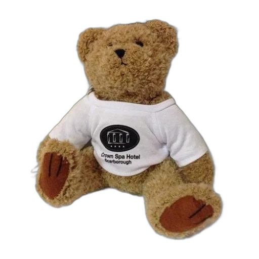stuffed, bear, wearing, shirt transparent PNG cut-out