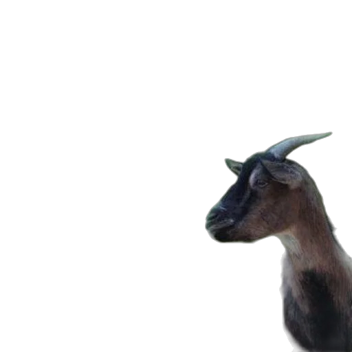 animal, dragon, creature, staff transparent PNG cut-out