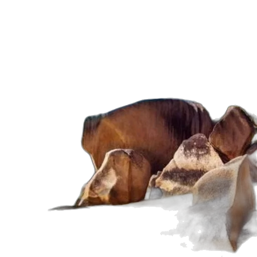 food, animal, mask, hair transparent PNG cut-out