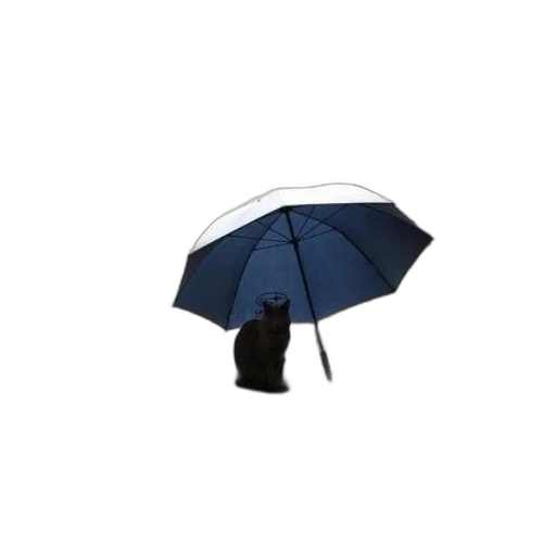 umbrella, hat, jacket, staff transparent PNG cut-out