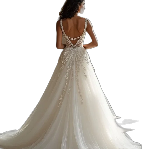 dress, jewelry, photorealistic, line transparent PNG cut-out