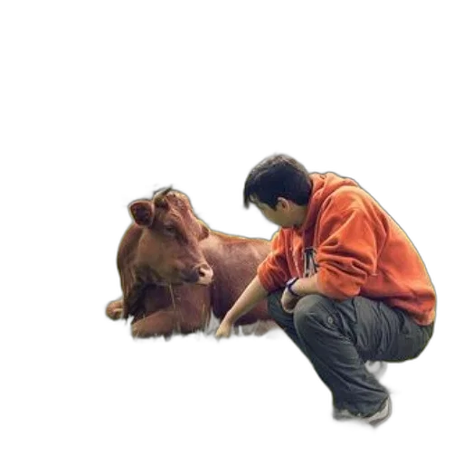 animal, creature, staff, jacket transparent PNG cut-out