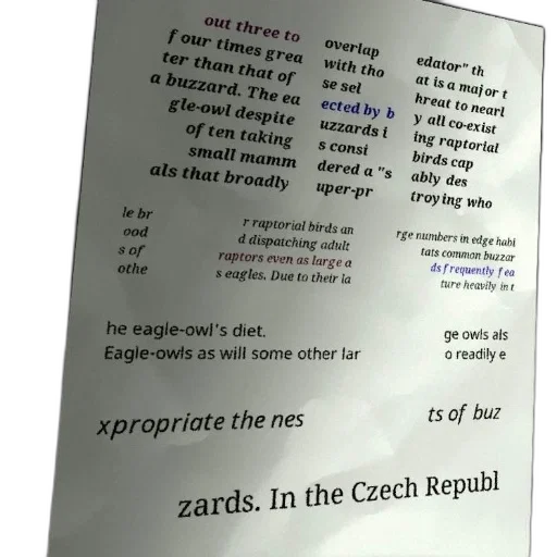 bottle, shoes, sword, text-based transparent PNG cut-out