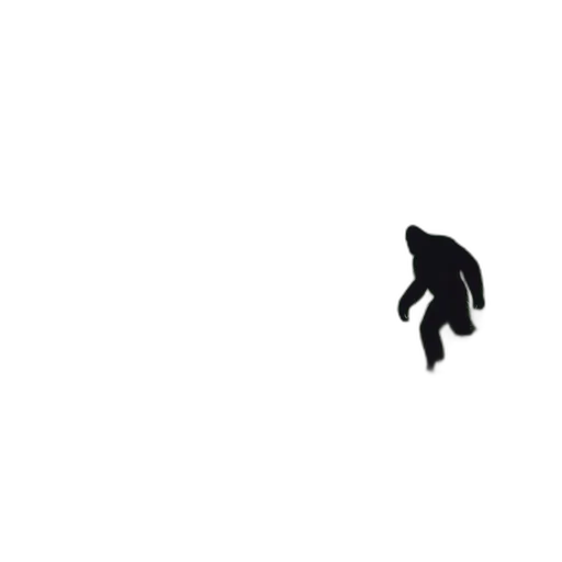 shoes, hair, animal, creature transparent PNG cut-out