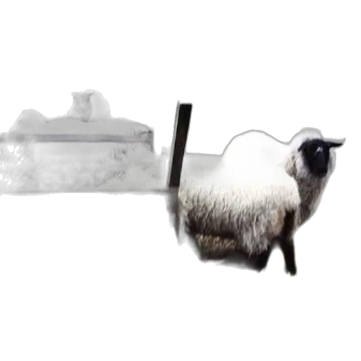 animal, furniture, weapon, food transparent PNG cut-out