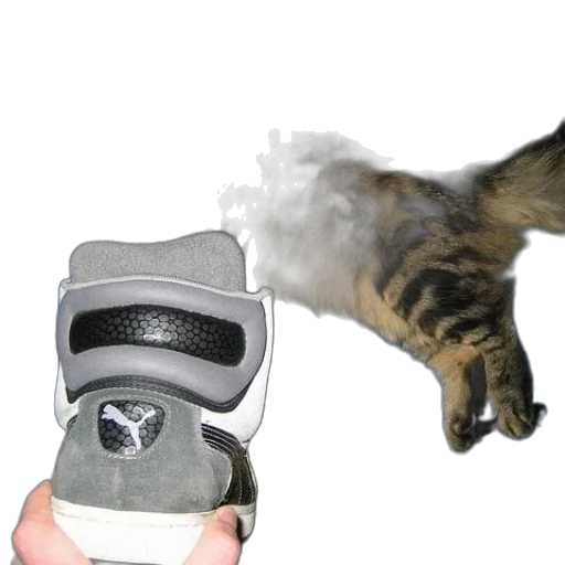 shoes, weapon, staff, animal transparent PNG cut-out