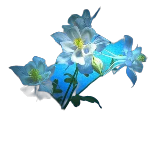 flower, crown, weapon, staff transparent PNG cut-out