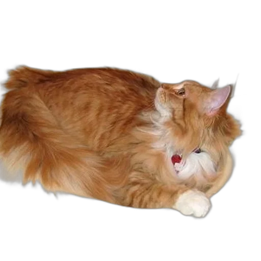 staff, animal, creature, jewelry transparent PNG cut-out