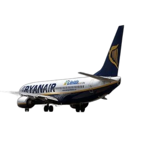 animal, photorealistic, 3d render, ryanair transparent PNG cut-out