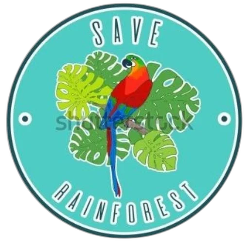 vibrant, illustration, parrot, perched transparent PNG cut-out