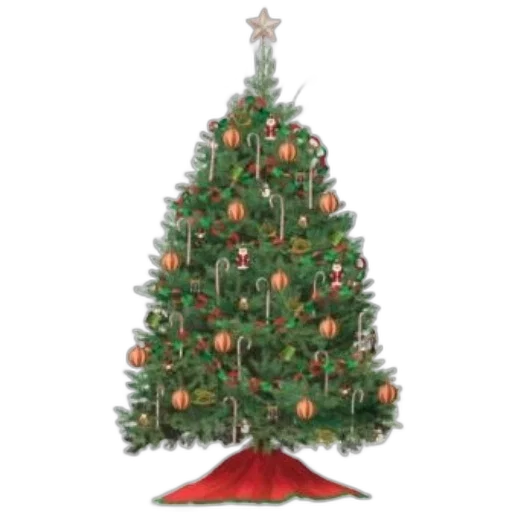 tree, hat, 3d render, beautifully transparent PNG cut-out