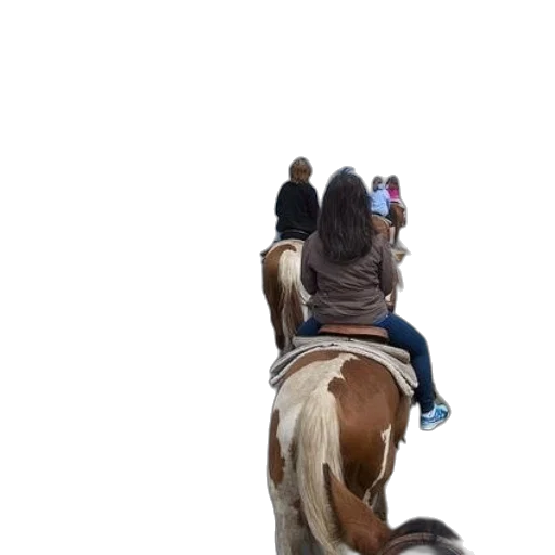 animal, staff, hat, jacket transparent PNG cut-out