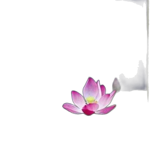 flower, jewelry, staff, crown transparent PNG cut-out