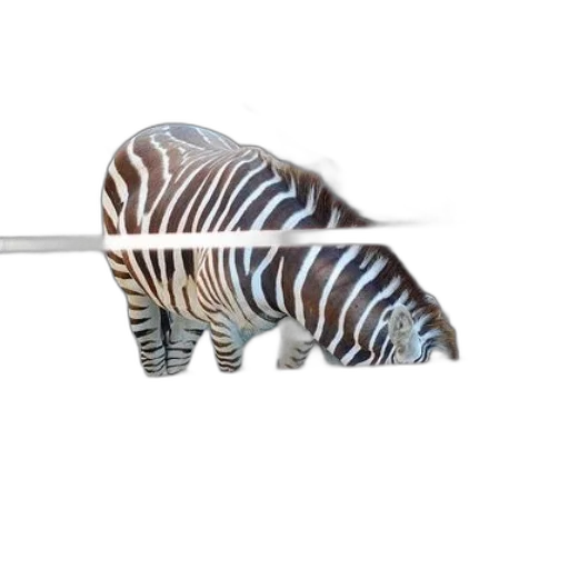 animal, weapon, creature, umbrella transparent PNG cut-out