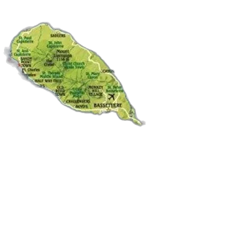 tree, hair, umbrella, staff transparent PNG cut-out
