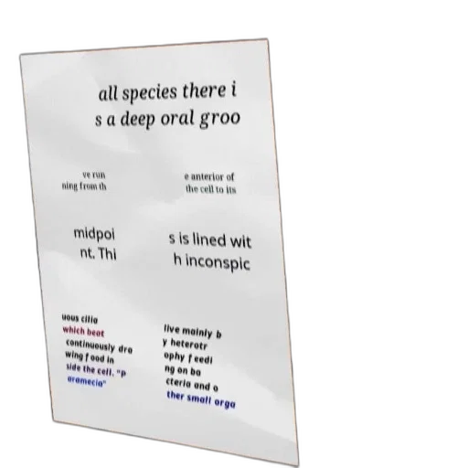 diagram, illustrating, structure, paramecium transparent PNG cut-out