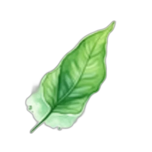 food, staff, flower, crown transparent PNG cut-out