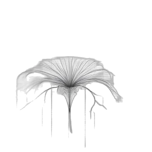 umbrella, flower, crown, hat transparent PNG cut-out