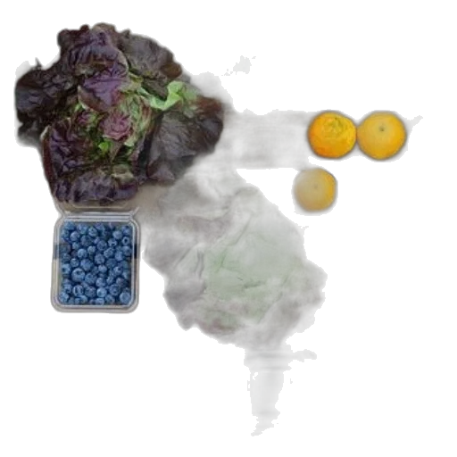 food, photorealistic, concept art, fog transparent PNG cut-out