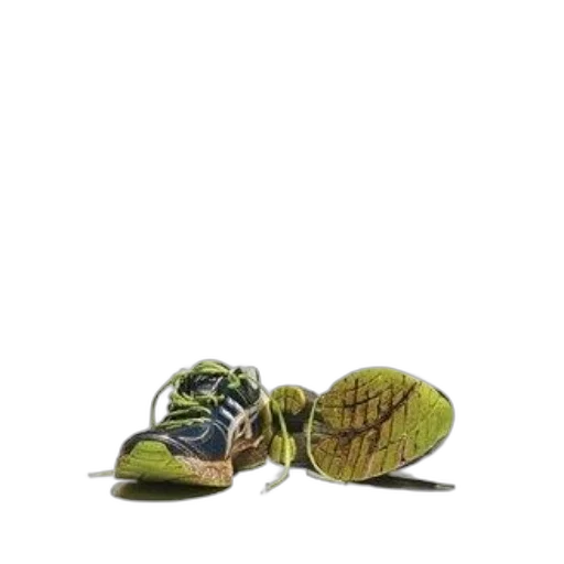 shoes, weapon, animal, hat transparent PNG cut-out