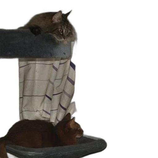 hat, furniture, staff, weapon transparent PNG cut-out