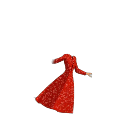 dress, umbrella, hat, shoes transparent PNG cut-out