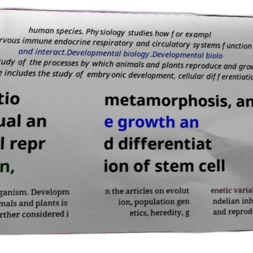 text-based, image, discussing, study transparent PNG cut-out