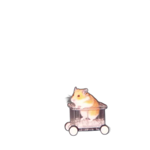 car, animal, food, robot transparent PNG cut-out
