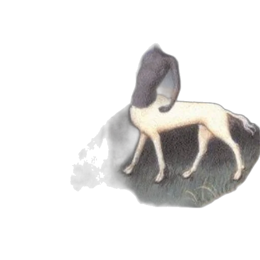 animal, creature, dragon, hair transparent PNG cut-out