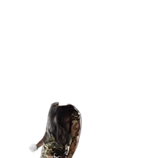 hair, animal, dress, creature transparent PNG cut-out