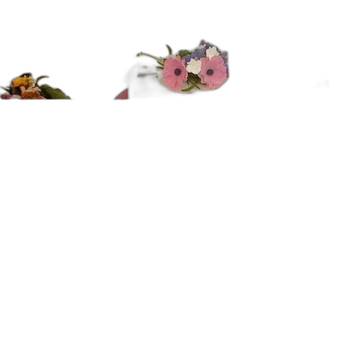 animal, food, creature, flower transparent PNG cut-out