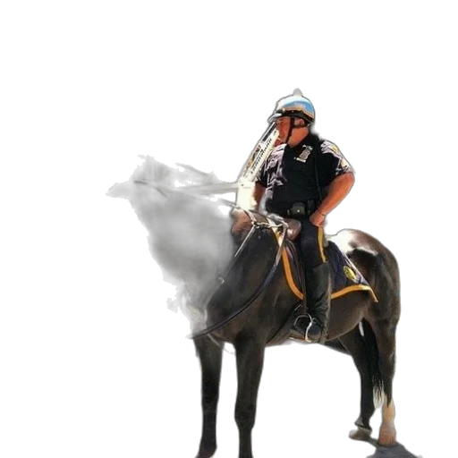 staff, animal, sword, dragon transparent PNG cut-out