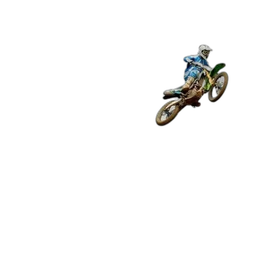 animal, pixel art, 3d render, photorealistic transparent PNG cut-out