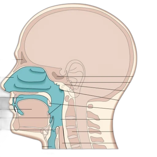 face, mask, crown, robot transparent PNG cut-out