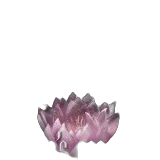 crown, flower, jewelry, hair transparent PNG cut-out