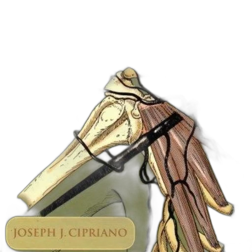 jewelry, weapon, staff, jacket transparent PNG cut-out