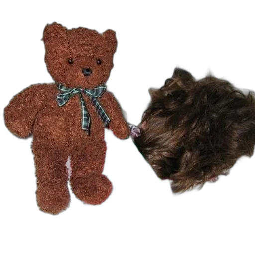 hair, staff, brown, teddy transparent PNG cut-out