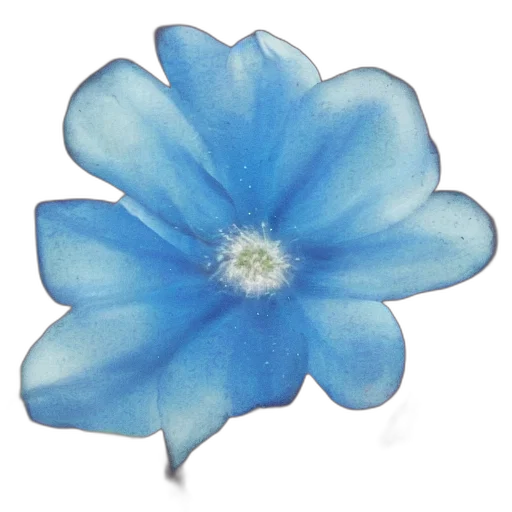 flower, crown, jewelry, staff transparent PNG cut-out