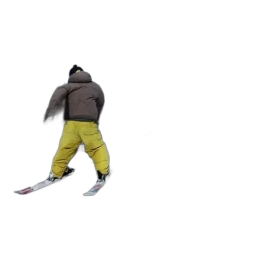 jacket, creature, shoes, animal transparent PNG cut-out