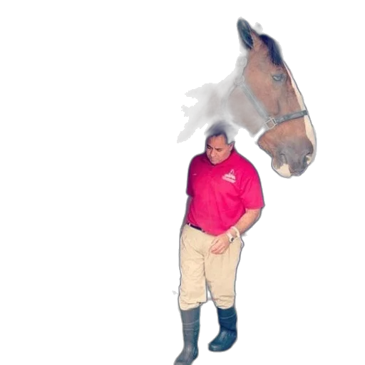 animal, creature, staff, jacket transparent PNG cut-out