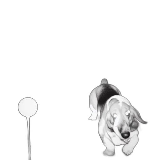 staff, animal, weapon, jewelry transparent PNG cut-out