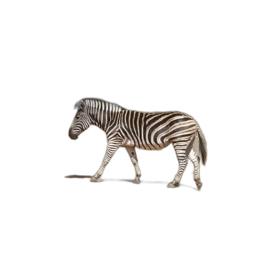 animal, creature, furniture, jewelry transparent PNG cut-out