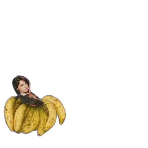 food, creature, hair, animal transparent PNG cut-out