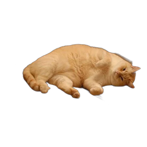animal, staff, creature, food transparent PNG cut-out