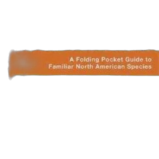 staff, folding, pocket, guide transparent PNG cut-out