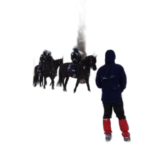 jacket, staff, animal, weapon transparent PNG cut-out
