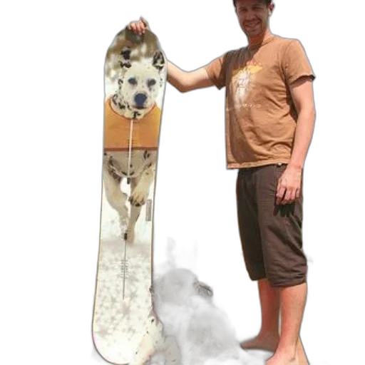 staff, animal, creature, weapon transparent PNG cut-out